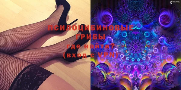 шишки Медвежьегорск