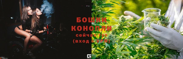 шишки Медвежьегорск