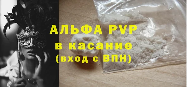 шишки Медвежьегорск
