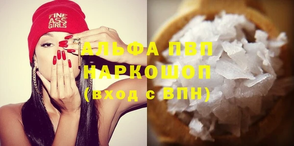 шишки Медвежьегорск
