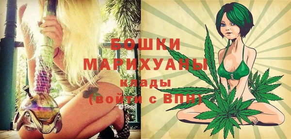 шишки Медвежьегорск