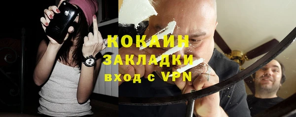 шишки Медвежьегорск