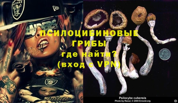 ALPHA PVP Медногорск