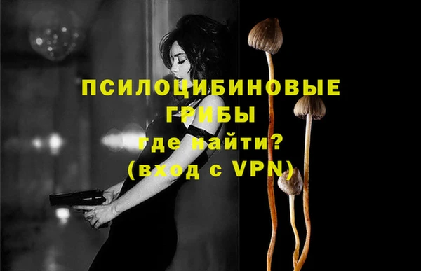 шишки Медвежьегорск