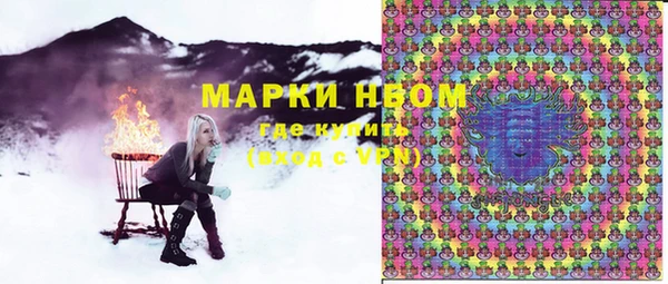 шишки Медвежьегорск