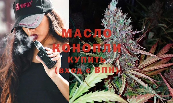 шишки Медвежьегорск