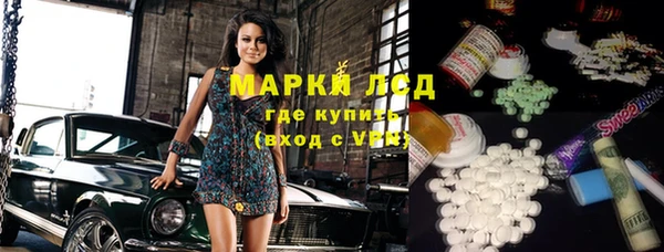 шишки Медвежьегорск