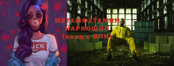 шишки Медвежьегорск