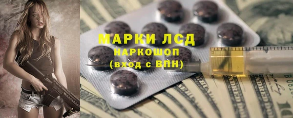шишки Медвежьегорск