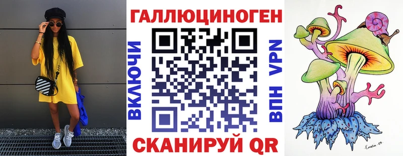 Псилоцибиновые грибы Psilocybe  Купить  Тосно 